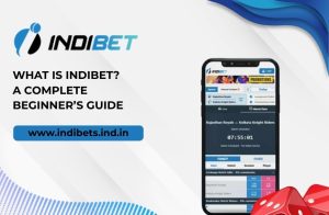 Read more about the article What Is Indibet? A Complete Beginner’s Guide