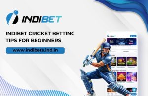 Read more about the article Indibet Cricket Betting Tips for Beginners